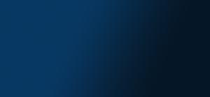 Lions Logo